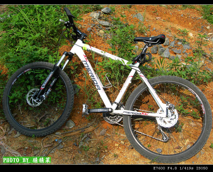 �ҵĶ��ֳ����ŵ��ˡ�����