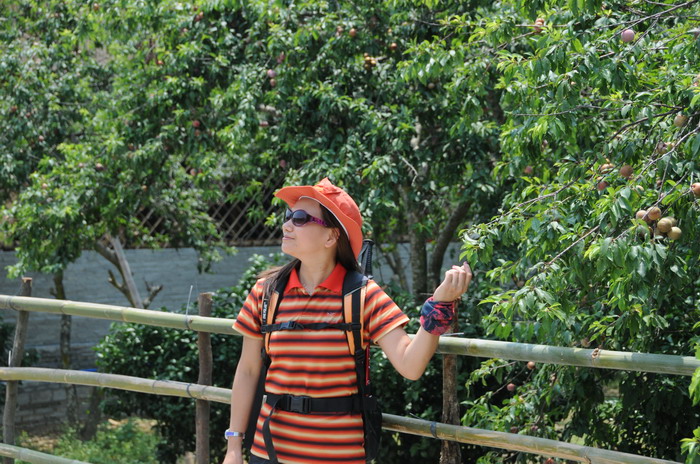 �������������