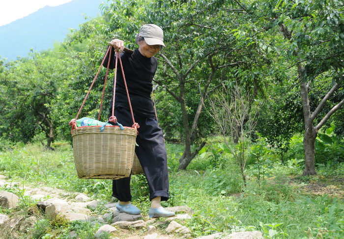 �����Ц��