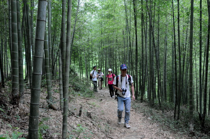 ��Խ����