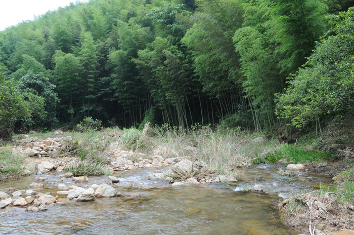 ҡҷ������