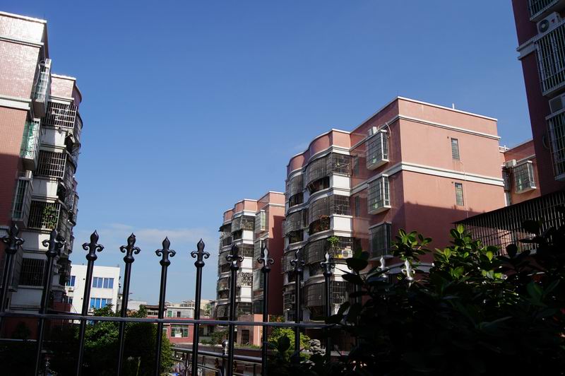 ������С DSC00859.JPG