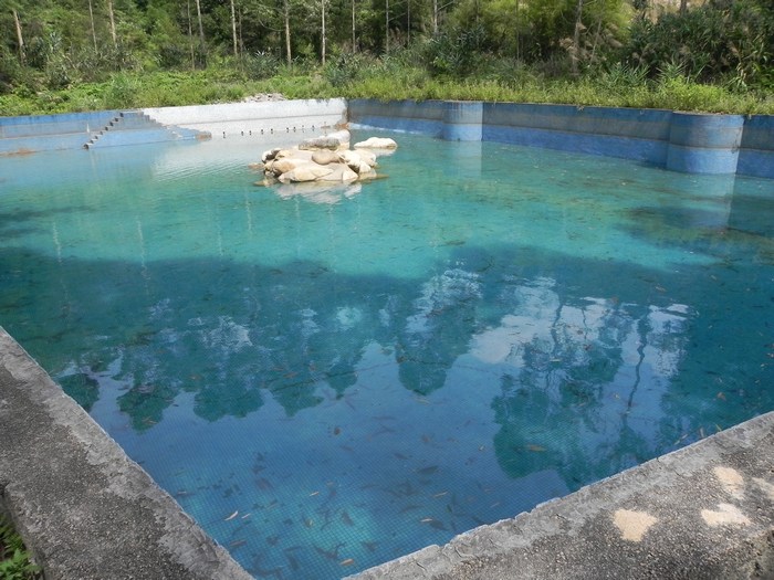 ���ִ���Ӿ��2