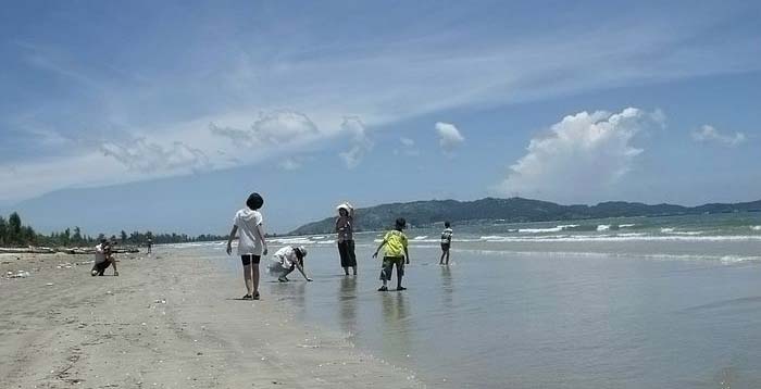 ��ЩС������������ź�ˮ���ջ�....���...