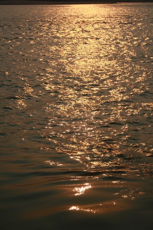 ������ 530.jpg