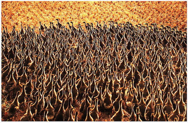 ������� ��־��.jpg