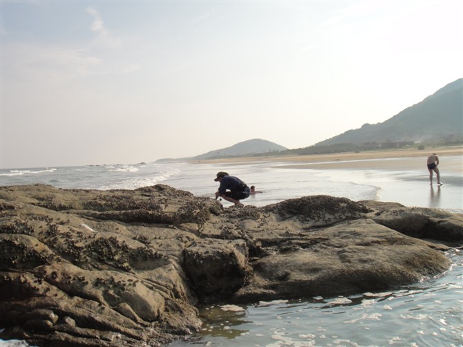 ����ĺ�̲��ʯ