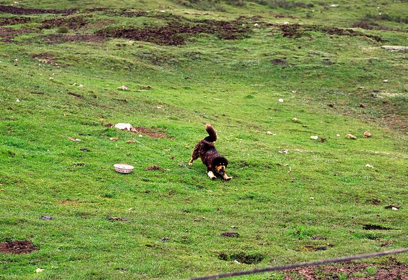 ���붼���ﶯ