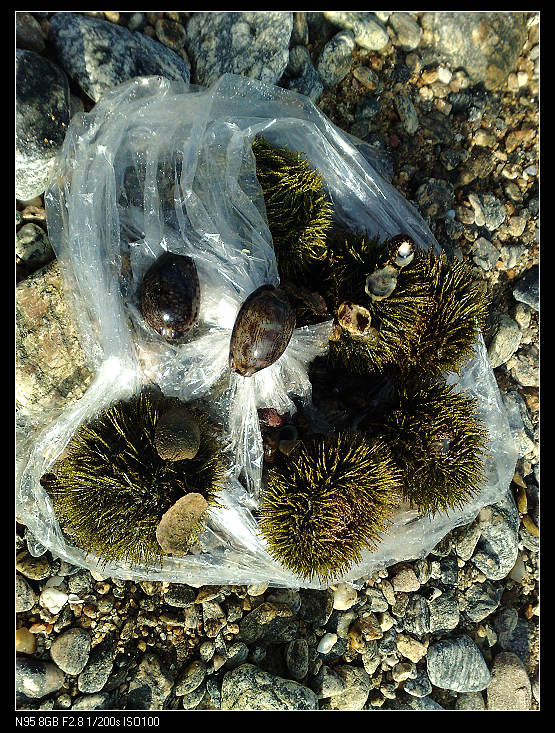 �洦�ɼ��ĺ���