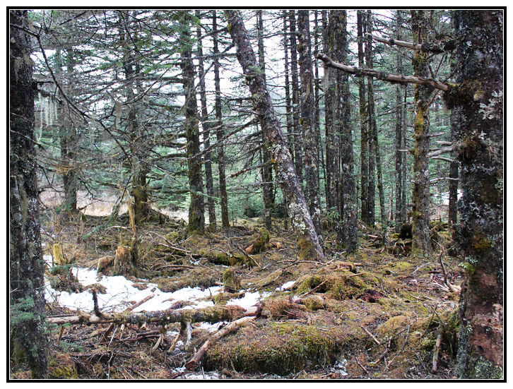 6 ��ɽ֮�ż��麣��.jpg