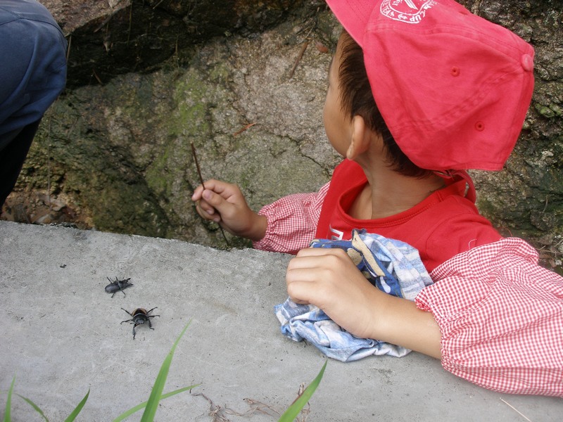 ͽ���е�С¿