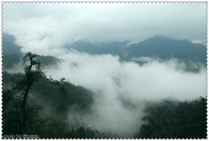 �������ɭ�ֹ�԰ 1.jpg