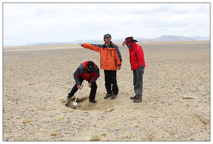 ������̡����ȥץ������Ǻ�̡�ɿ�����ɳʯ�������Ҳ���ã���ѬҲѬ������