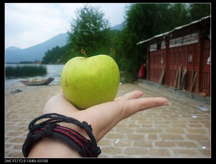 �������ҵ�ƻ��