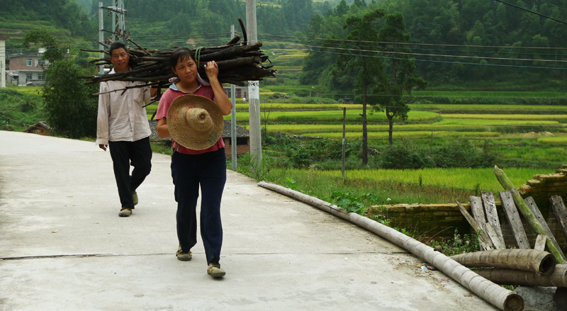 nEO_IMG_P1130299 .jpg