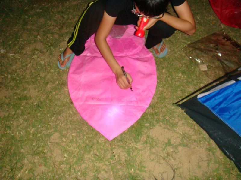 �ں�̲�Ϸſ�����