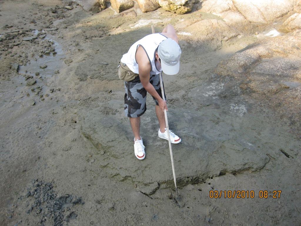 �ڡ�������������