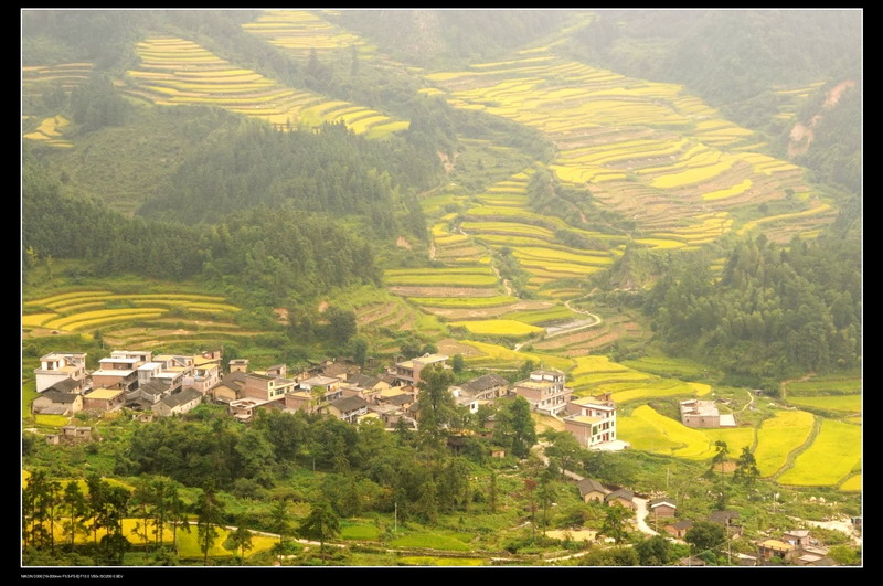 ��ɽ������ 009_neo_bak_������С.jpg