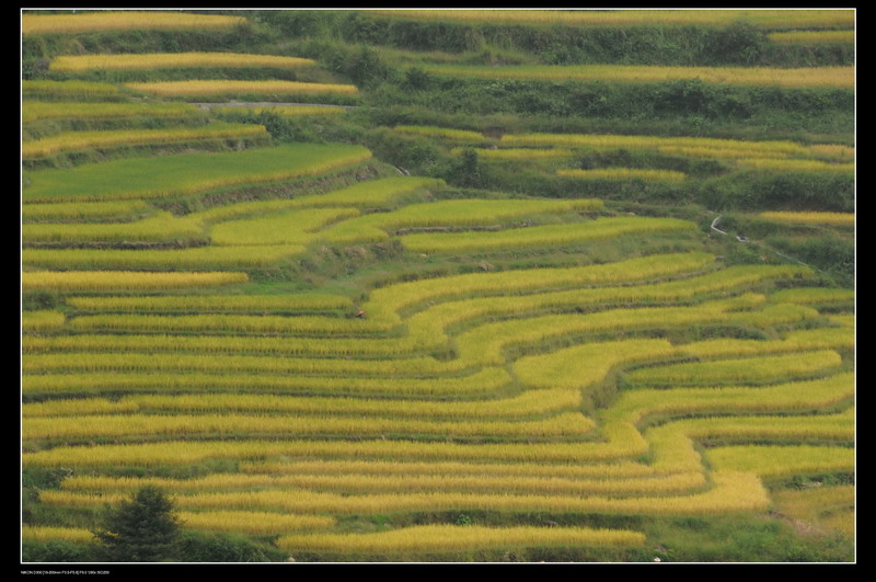 ��ɽ������ 146_������С.jpg