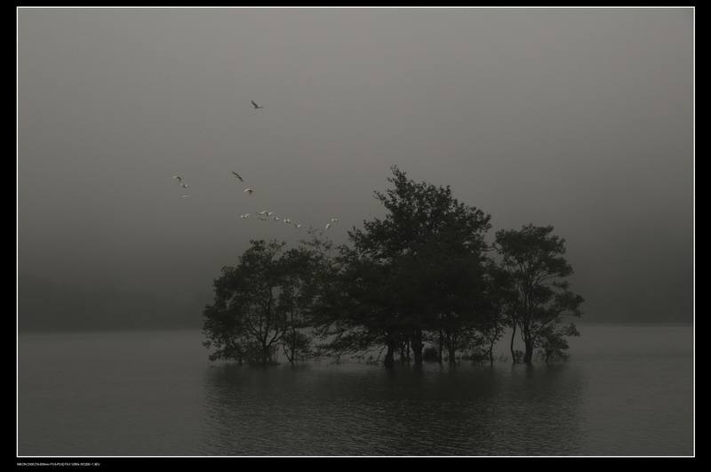 ��ɽ������ 376_������С.jpg