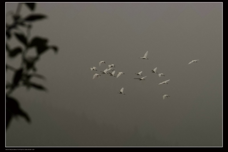 ��ɽ������ 377_������С.jpg