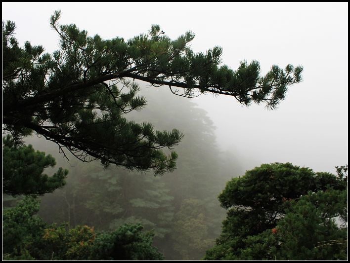 çɽ�ϵ�����