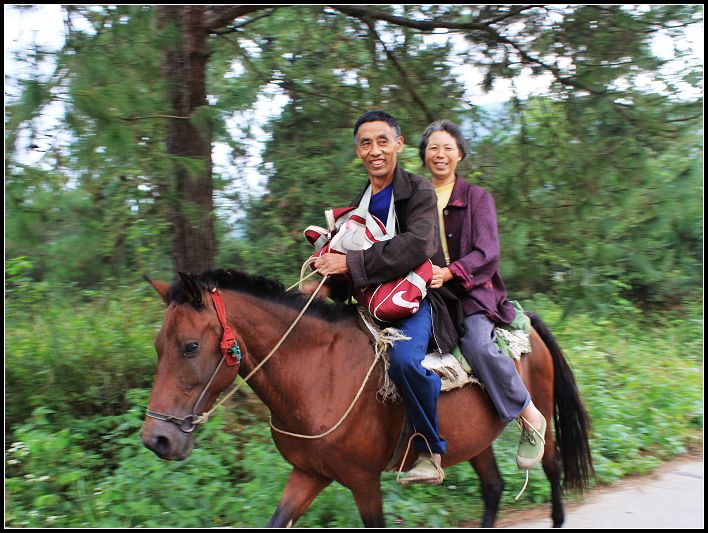 һ���ӵ�����