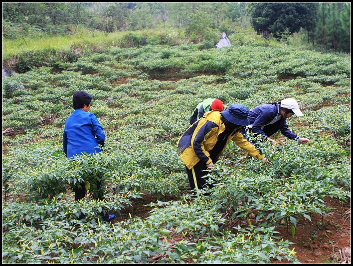 ����ũ����