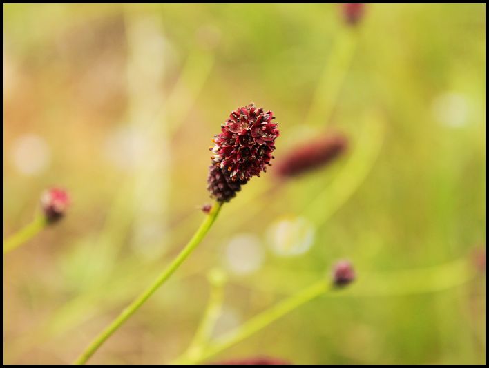 Ұ����Ұ����