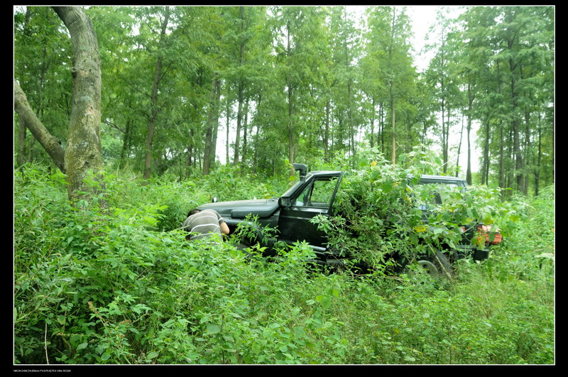 ���޵��տ� 492_������С.jpg