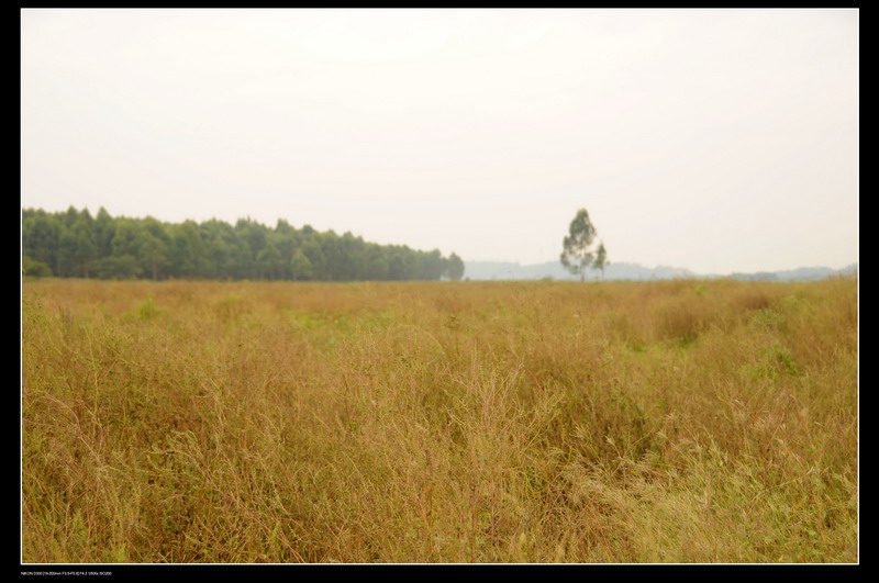 ���޵��տ� 500_������С.jpg