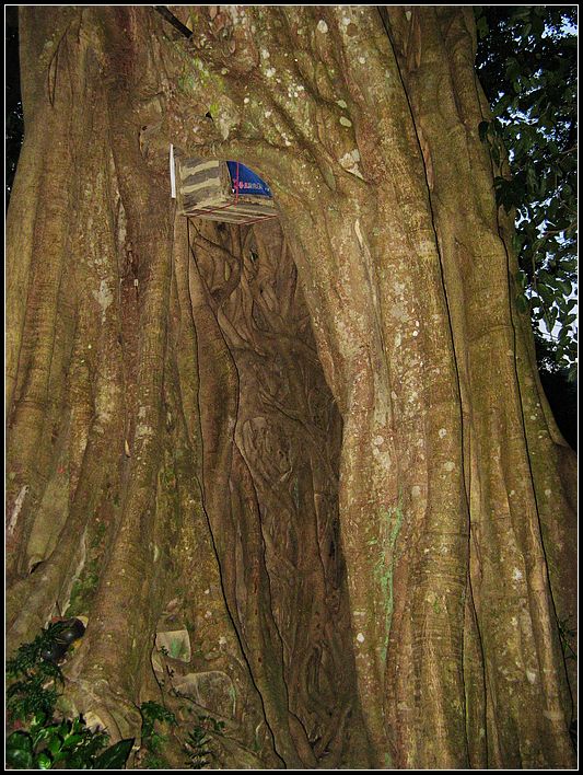 ��־�Դ�����