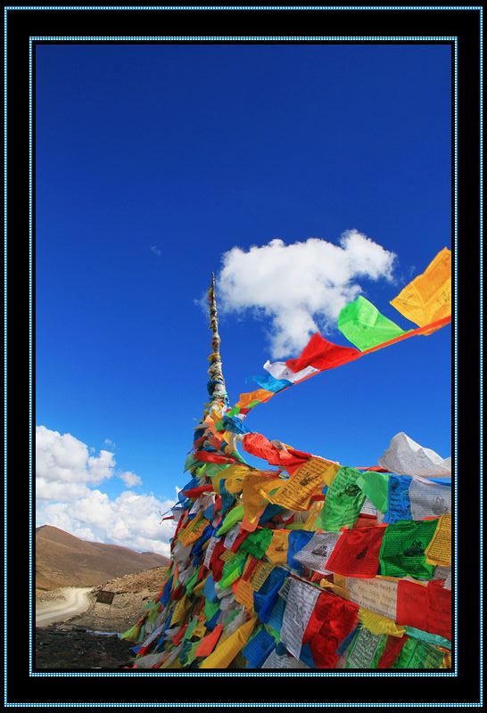 nEO_IMG_��Ƭ 800.jpg