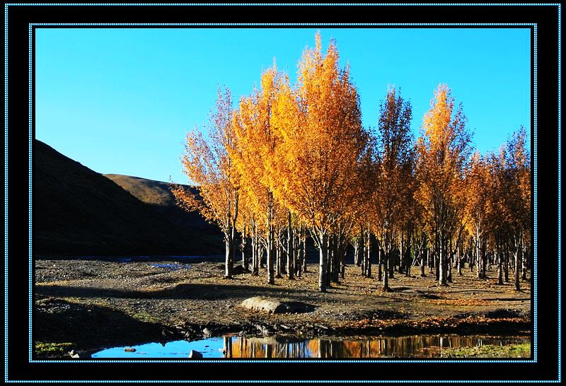 nEO_IMG_��Ƭ 898.jpg