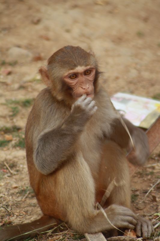 ����ţ���� 200.jpg