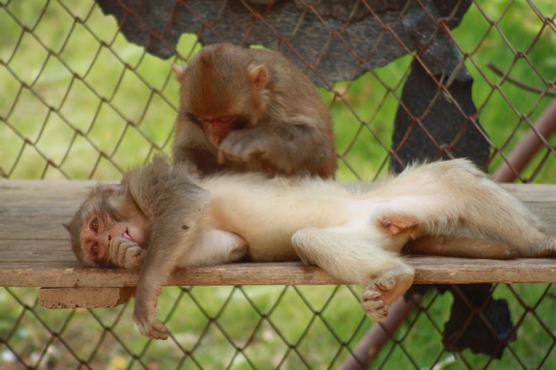 ����ţ���� 202.jpg