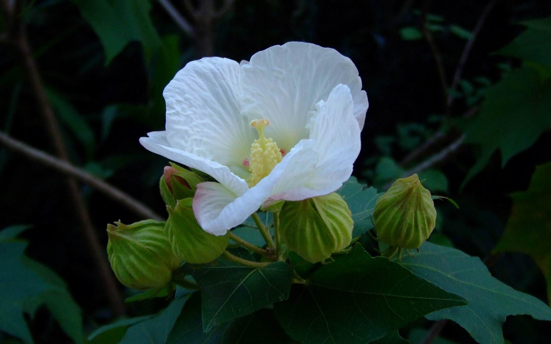 ������С 201010280169.JPG