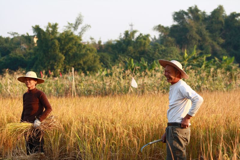 ��ɫ֮�� 239.jpg