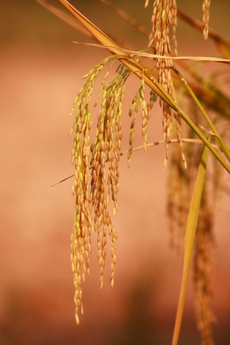 ��ɫ֮�� 236.jpg