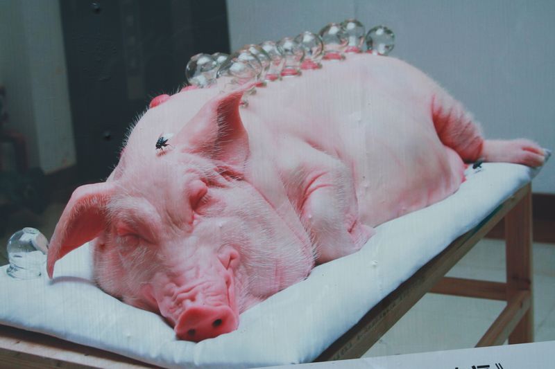 ��ɫ֮�� 175.jpg