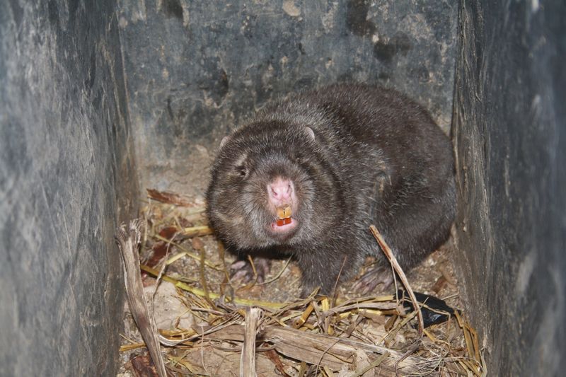 ��ɫ֮�� 190.jpg