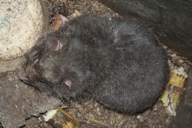 ��ɫ֮�� 187.jpg