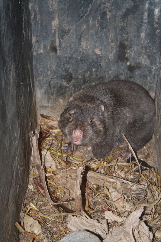 ��ɫ֮�� 186.jpg