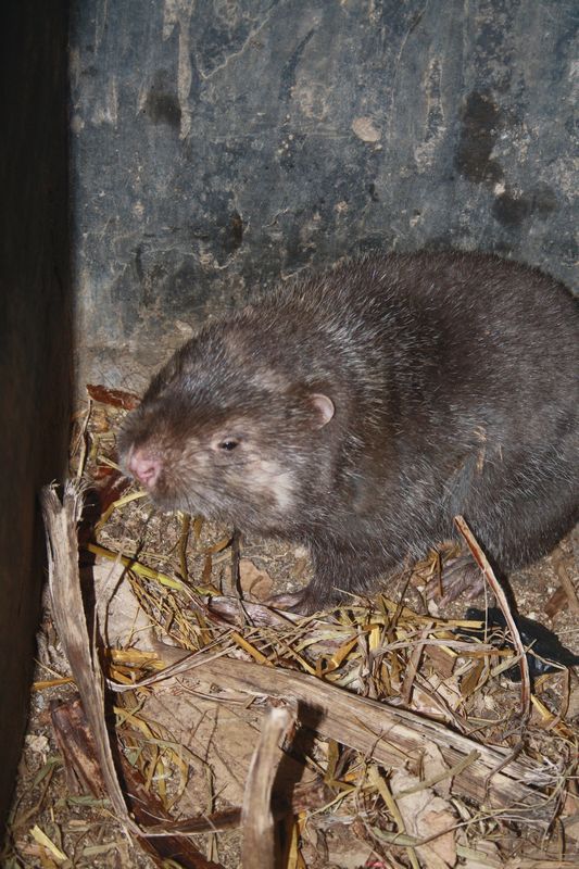 ��ɫ֮�� 188.jpg