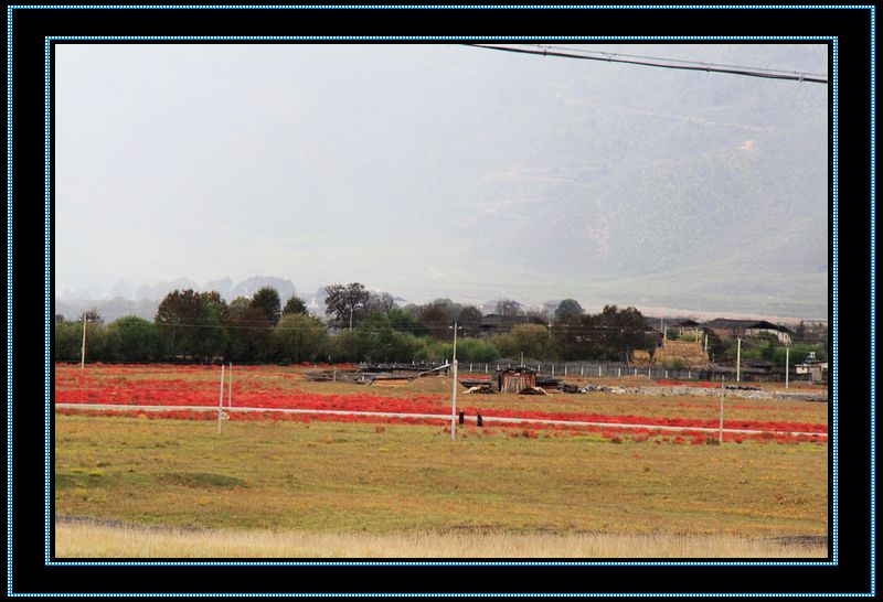 nEO_IMG_��Ƭ 120.jpg