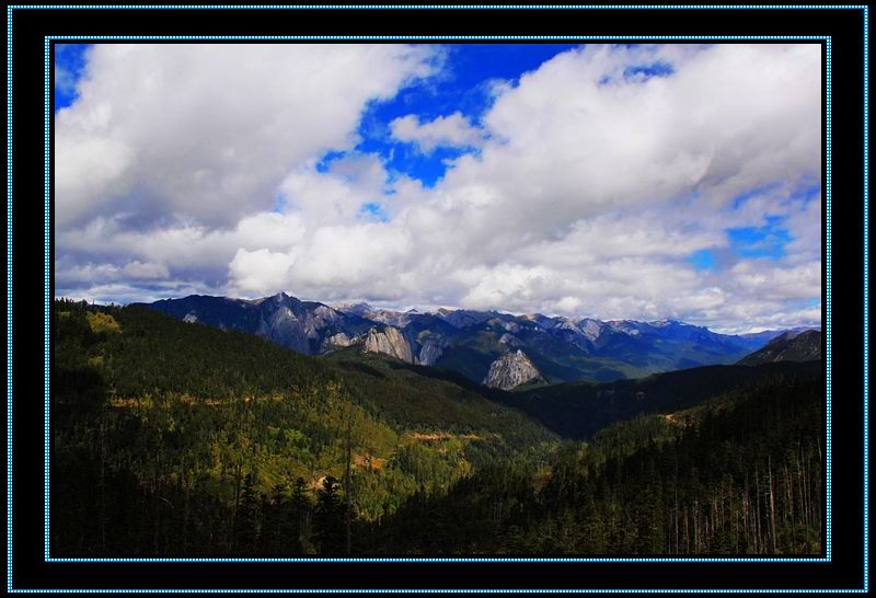 nEO_IMG_��Ƭ 231.jpg