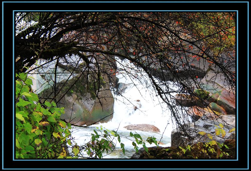 nEO_IMG_��Ƭ 500.jpg