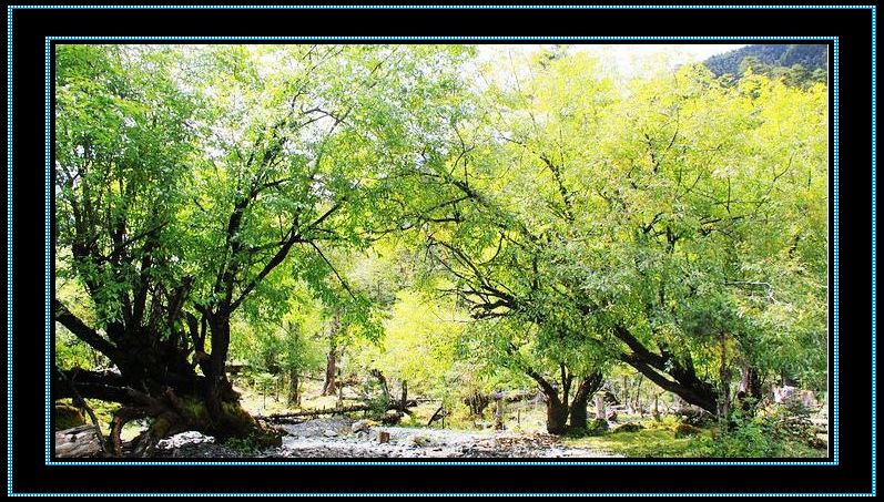 nEO_IMG_��Ƭ 534.jpg