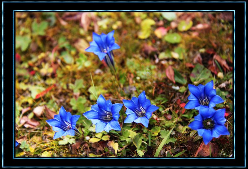 nEO_IMG_��Ƭ 551.jpg