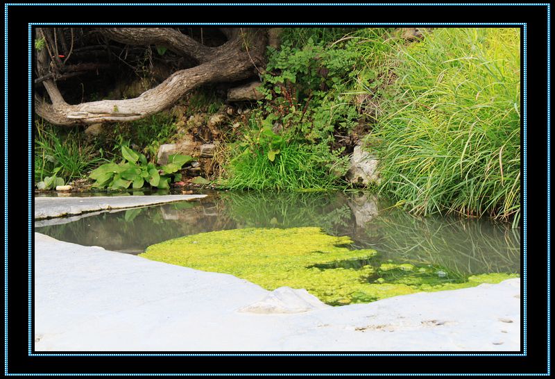 nEO_IMG_��Ƭ 642.jpg